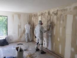 Professional Mold Removal in Varnell, GA